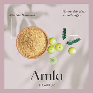 AMLA | Premium organic hair care powder for hair growth, strong roots &amp; natural shine