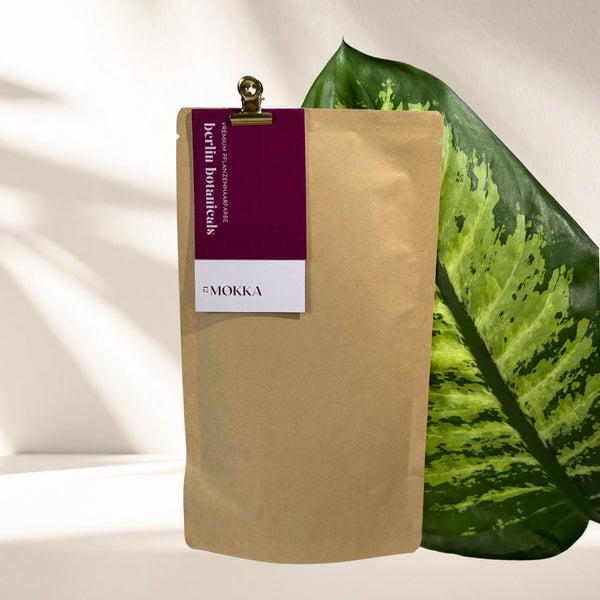 MOKKA BROWN | Organic plant-based hair color – Medium brown with soft highlights